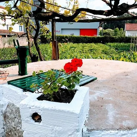 Daire Casinha Da Avo Rosario Juncal (Leiria)