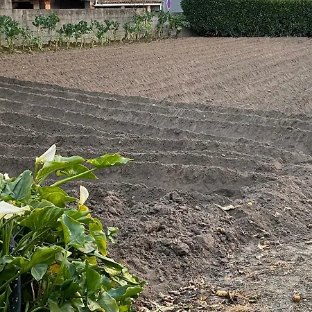 Casinha Da Avó Rosário