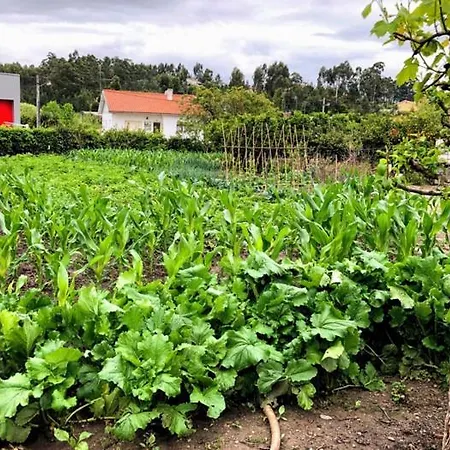 Casinha Da Avo Rosario Διαμέρισμα