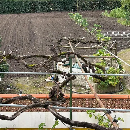 Appartamento Casinha Da Avó Rosário Juncal (Leiria)