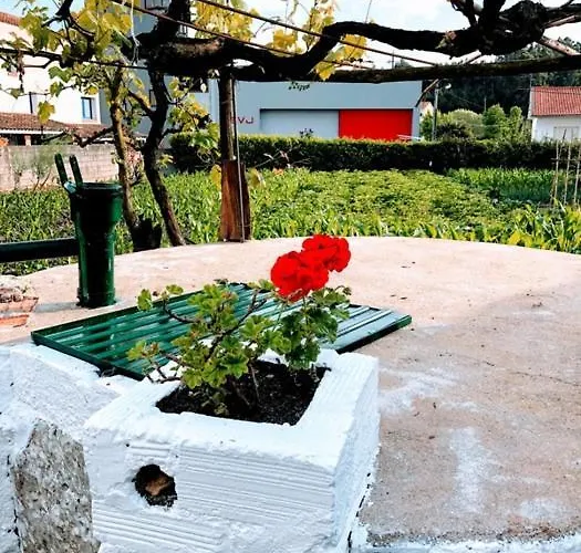 Apartamento Casinha Da Avó Rosário Juncal (Leiria)