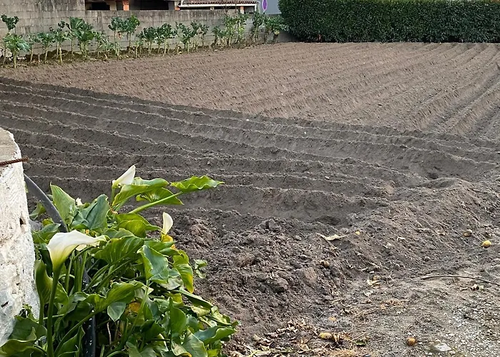 Casinha Da Avó Rosário