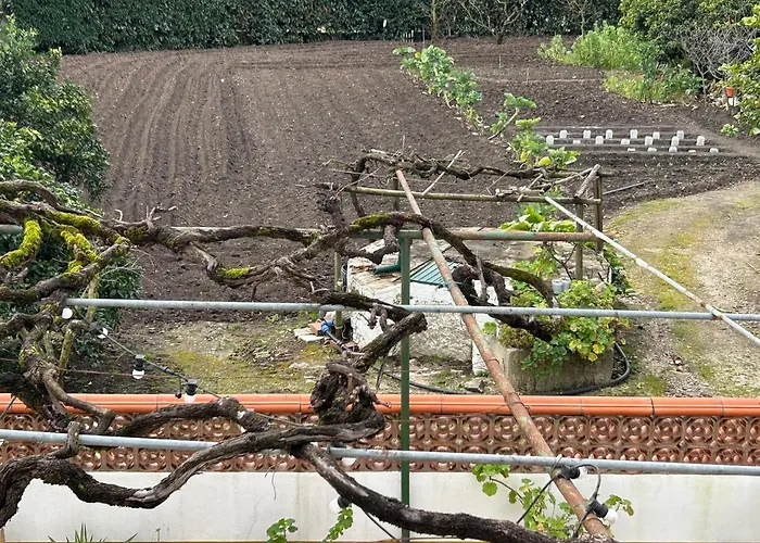 Apartamento Casinha Da Avó Rosário Juncal (Leiria)